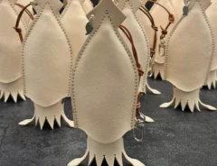 使用前の『育てるスルメイカキーケース』