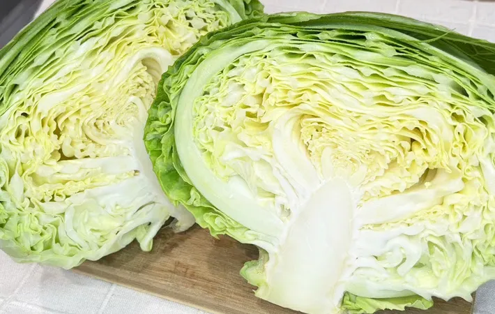 キャベツの写真（撮影：キジカク）