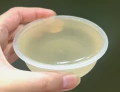 『パチパチパンチゼリー』の写真（撮影：grape編集部）