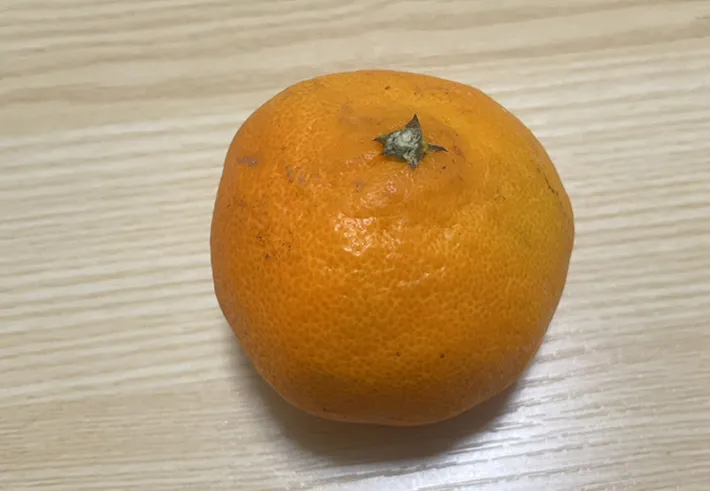 ミカンの写真（撮影：grape編集部）