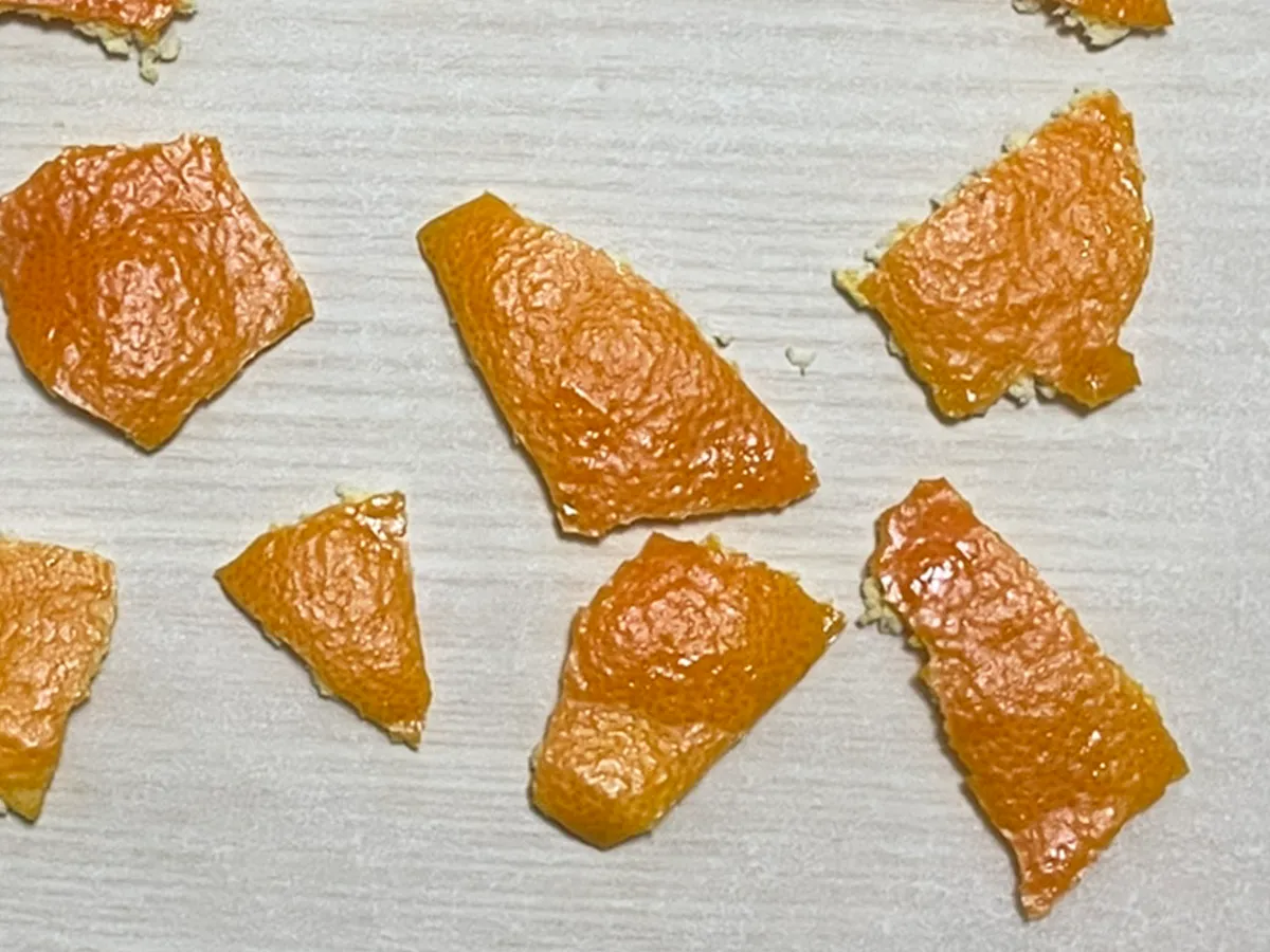 ミカンの写真(撮影:grape編集部)