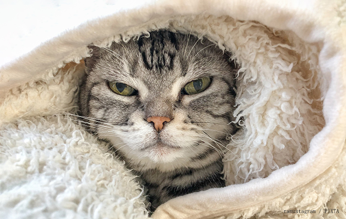 サーモスの画像