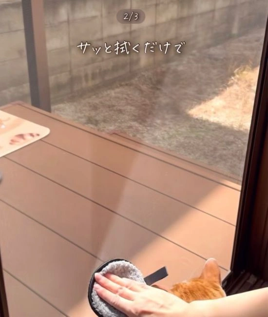 網戸掃除の様子