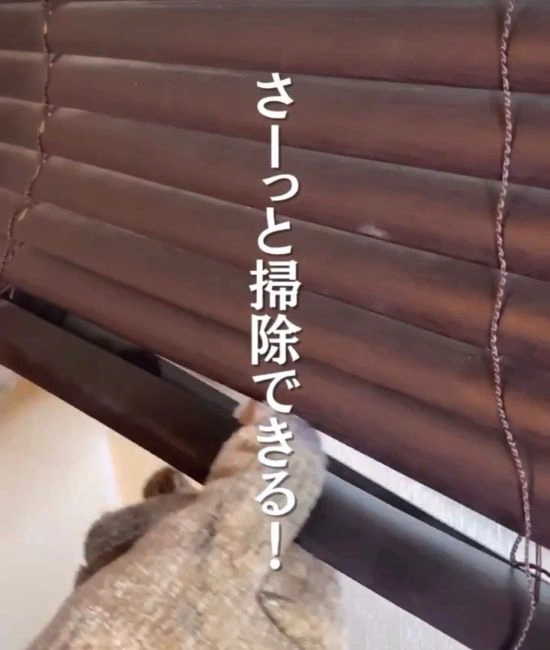 ブラインドを拭く様子