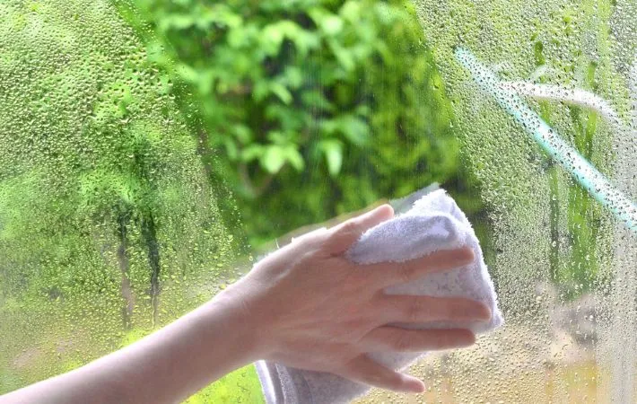 窓を拭く写真