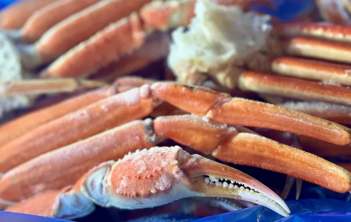 一度解凍したカニを再冷凍しても食べられる？