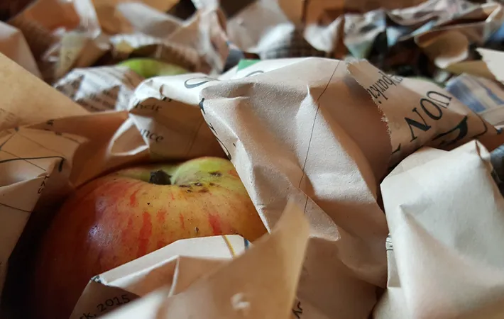 リンゴの保存方法のコツ