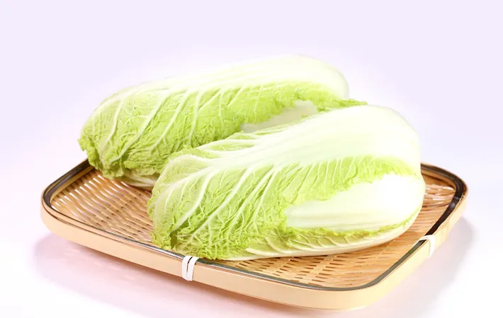 冷凍した白菜がまずいといわれるのはなぜ？