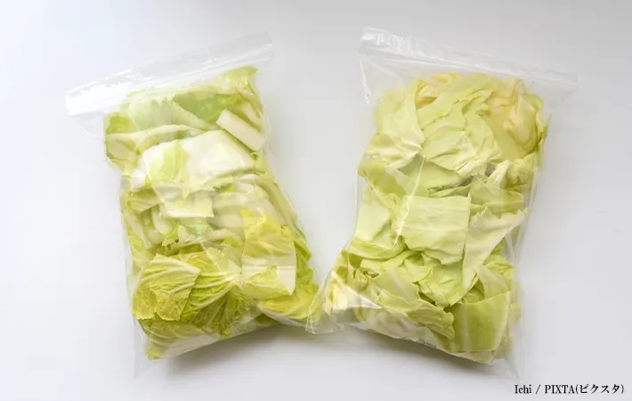 白菜を上手に冷凍する2つの方法