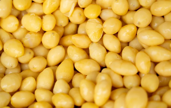 銀杏はどれくらいなら食べてもよい？