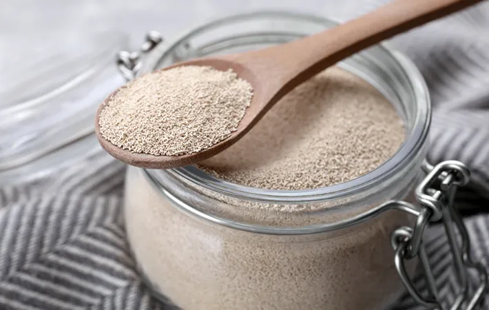 1．ドライイースト