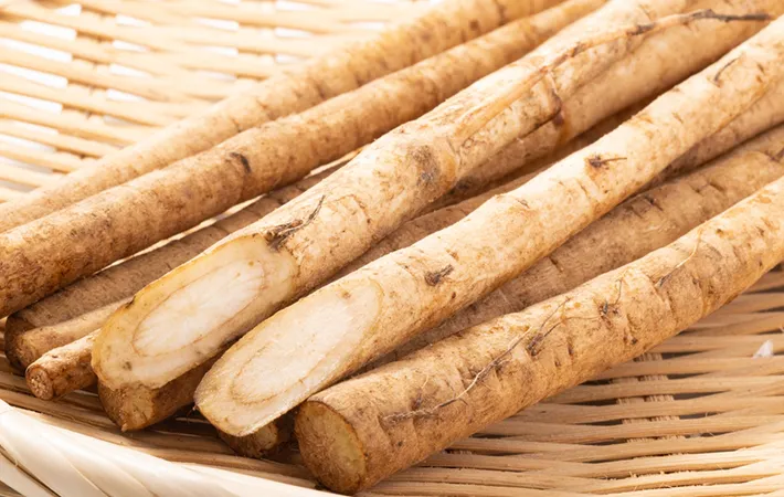 ゴボウは生で食べられる