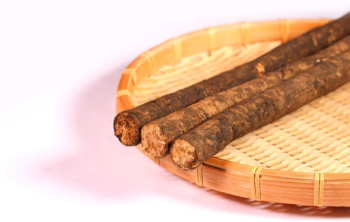 生のゴボウの日持ちと保存方法