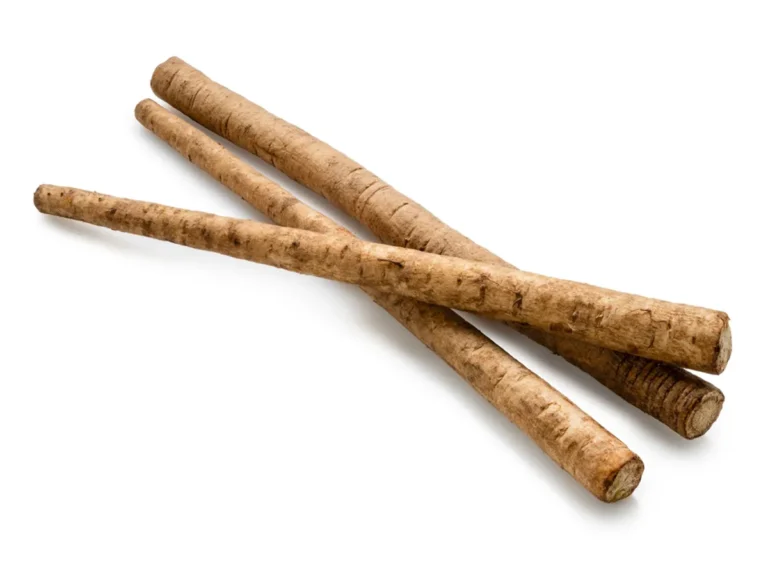 ゴボウは生で食べても大丈夫?食べられる種類と注意点、レシピを紹介