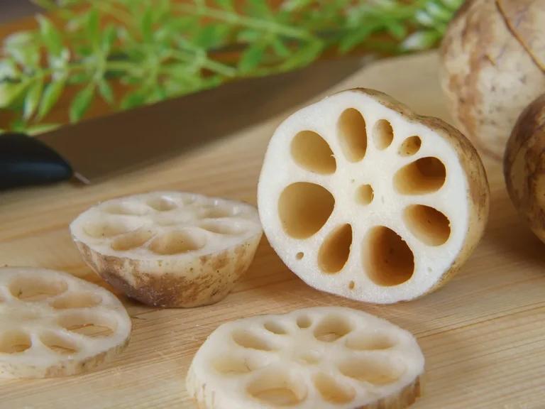 レンコンが変色していた!原因や対策を分かりやすくご紹介