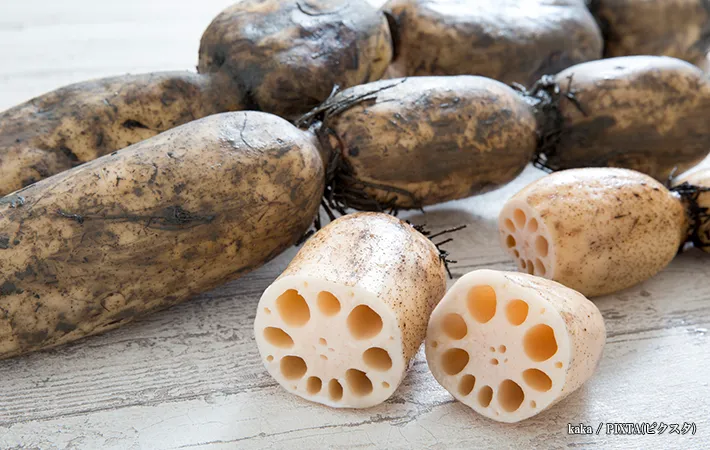 レンコンが傷んだサインと新鮮なレンコンの選び方