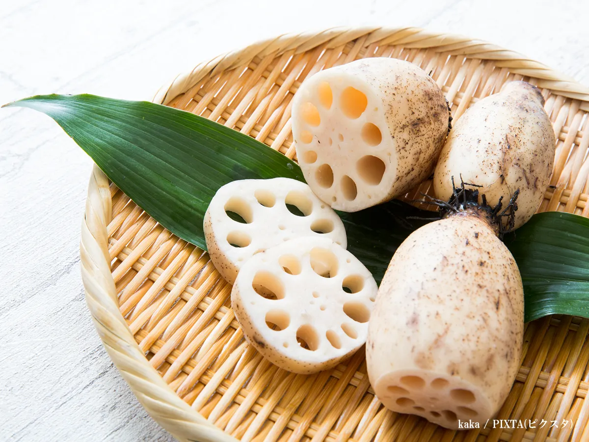 レンコンが糸引く理由とは？ネバネバした繊維の正体と鮮度との関係を解説