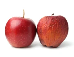 腐ったリンゴの見分け方は？賞味期限や正しい保存方法をご紹介