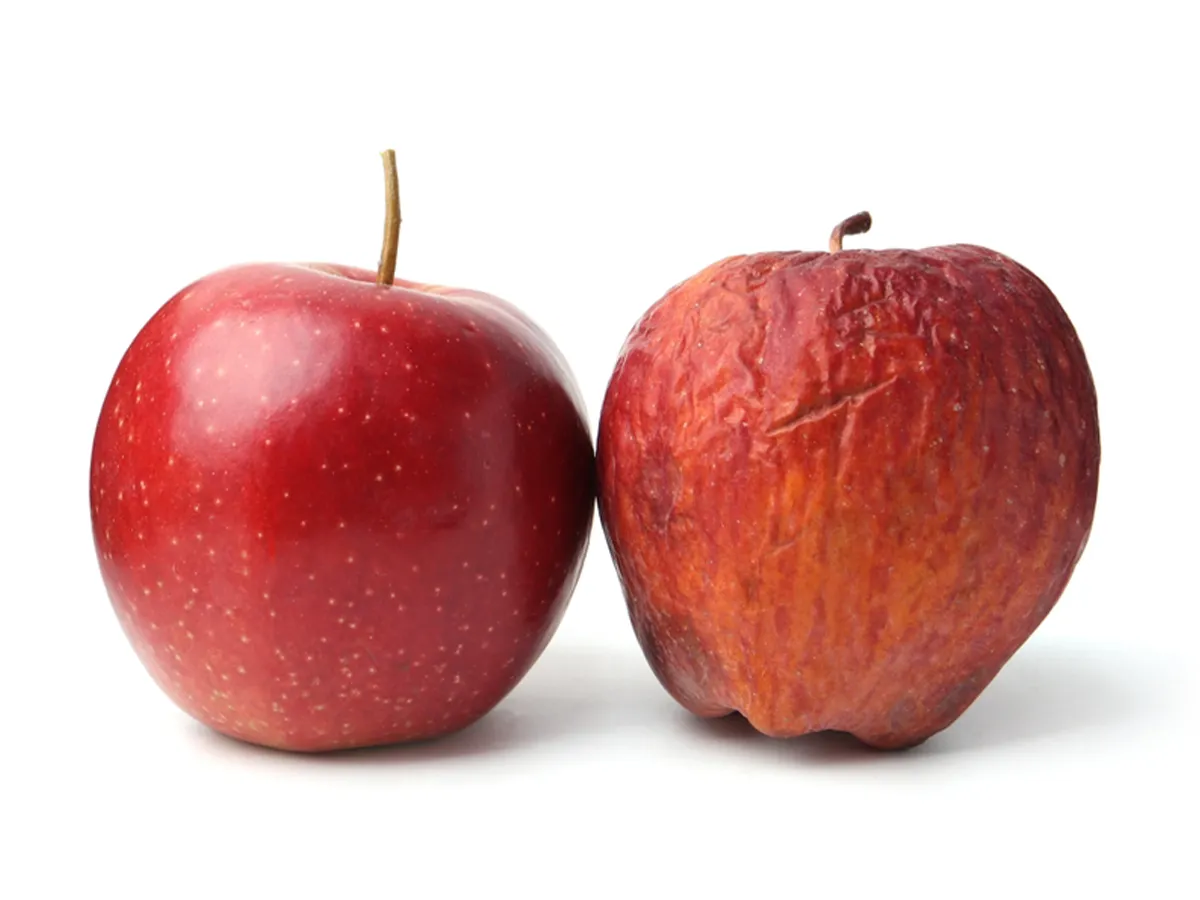 腐ったリンゴの見分け方は？賞味期限や正しい保存方法をご紹介