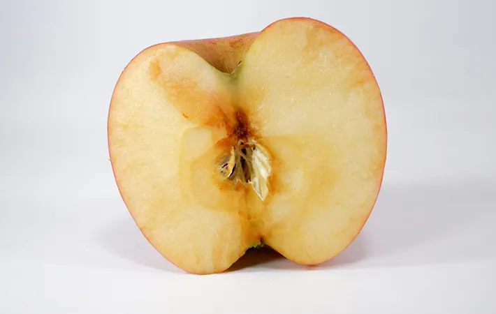 茶色く変色したリンゴは食べられる？