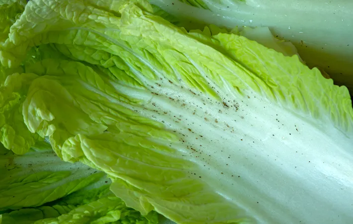 ゴマ症：茶色や黒色の斑点ができる