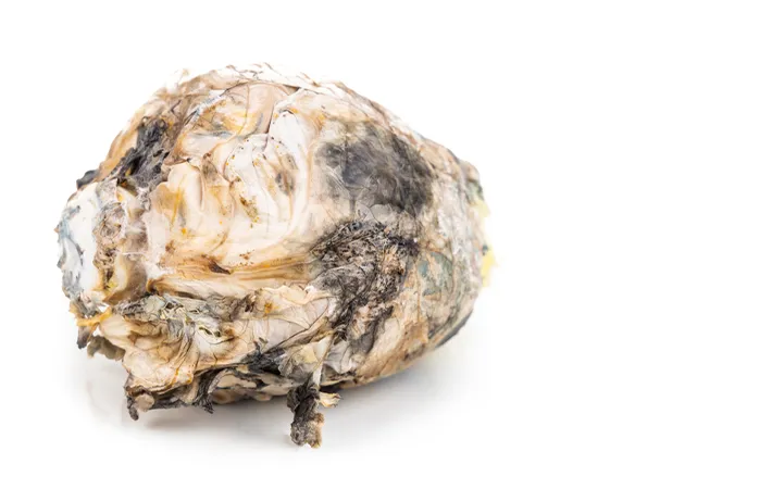 カビが発生している