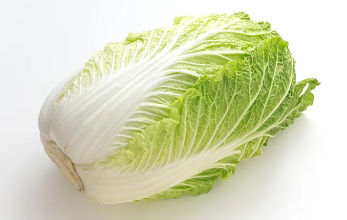 丸ごと保存する