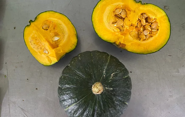 冷凍カボチャがまずいと感じる理由