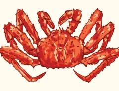 カニの寿命はどのくらい？寿命を左右する要因や飼育方法までご紹介