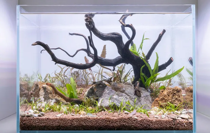 ストレスを減らすことが重要