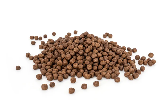 カニの寿命を長くするためのエサは？