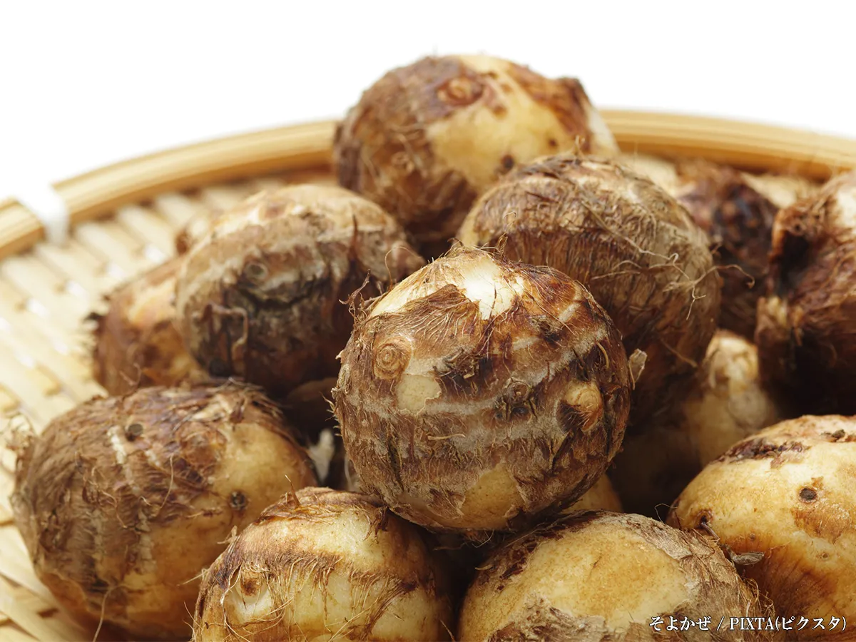 里芋は緑色でも食べられる？変色する理由と2つの対処法を解説