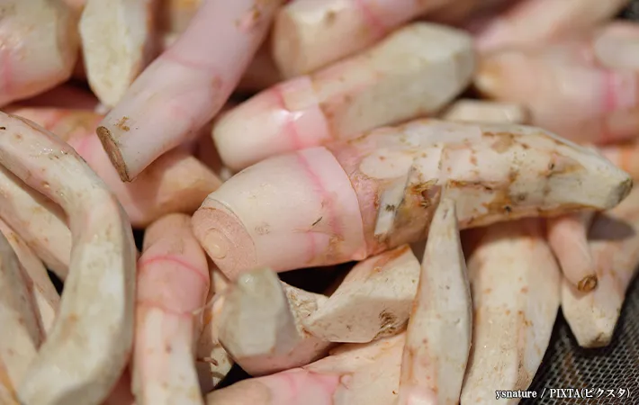 里芋の変色を防ぐ2つの方法