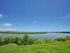 日本の川の長さランキングTOP20！知ってる川は何位に入っている？