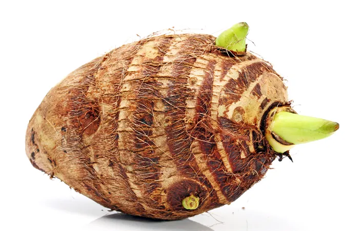 里芋の芽は食べられる？