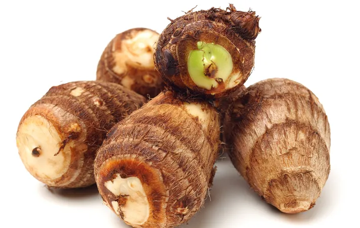 里芋の芽が出た場合の対処法