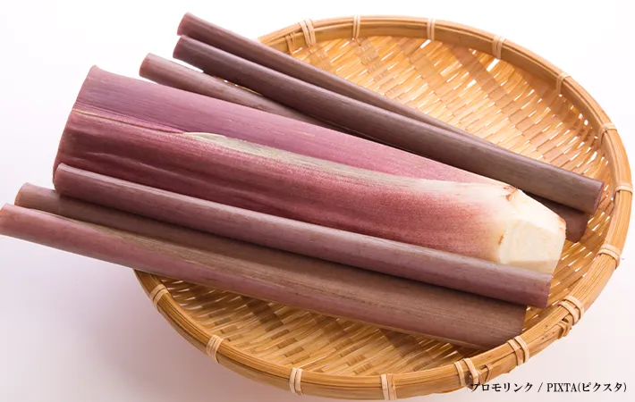 ズイキは複数の名前で流通されている