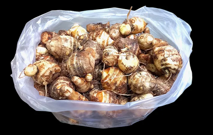 紙類に包んで適温で保存する