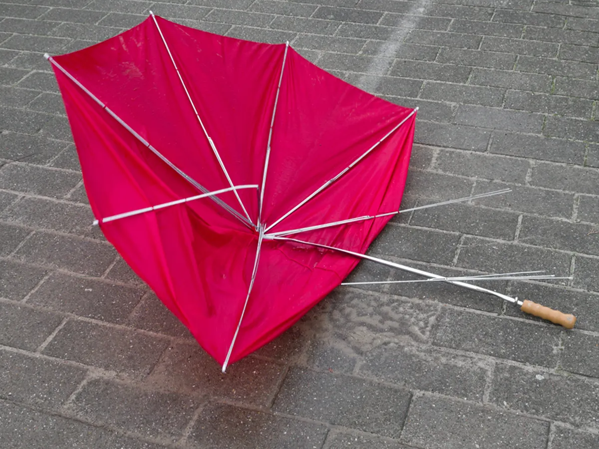 傘の画像