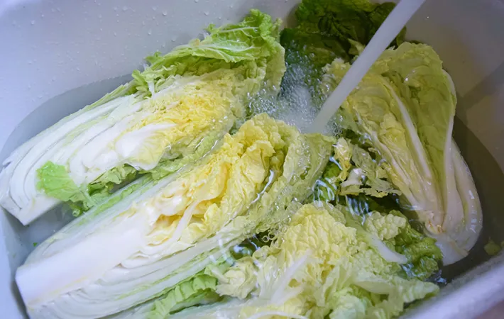 4分の1にカットされている白菜をそのまま洗う場合