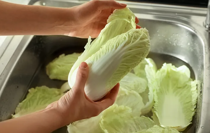 白菜を洗うタイミングはいつがベスト？