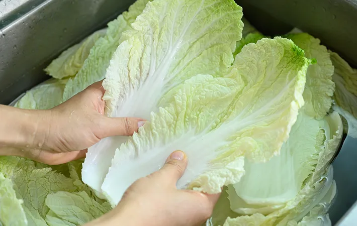 白菜の落ちにくい黒い点は何？