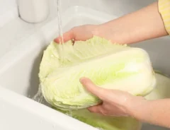 白菜は洗うべき？正しい洗い方と洗うタイミングについて解説