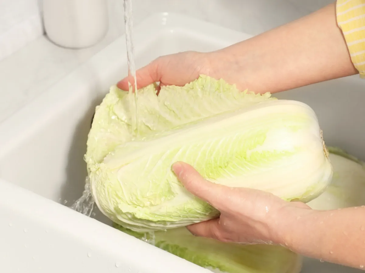 白菜は洗うべき?正しい洗い方と洗うタイミングについて解説