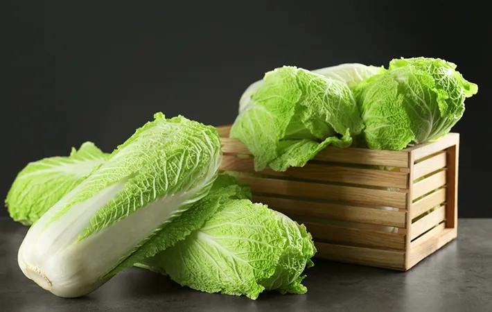 白菜の旬はいつ？