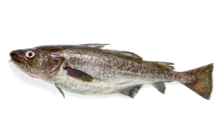 タラのヌメリが気になる時、ヌメリを取る方法はある？