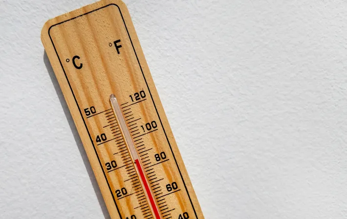 カボチャが腐る理由