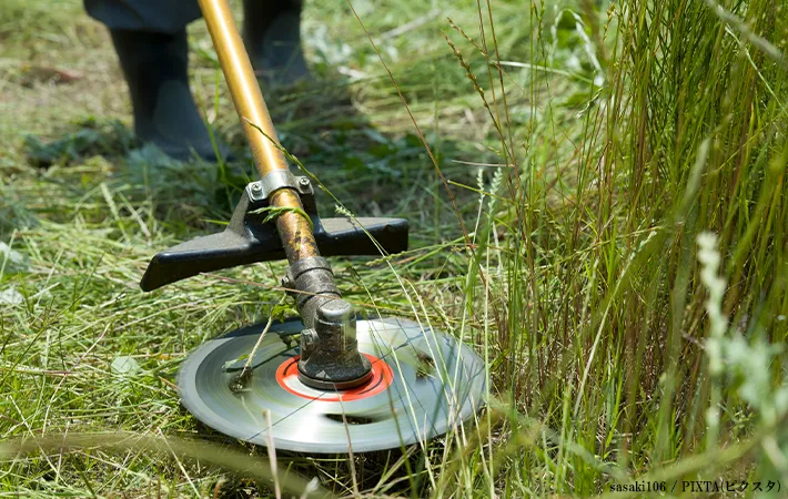 カマや除草機は使用しない