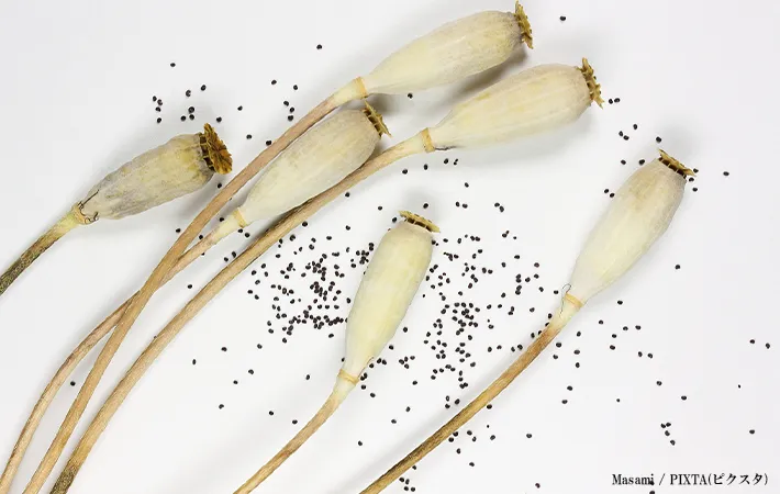 種を落とさない