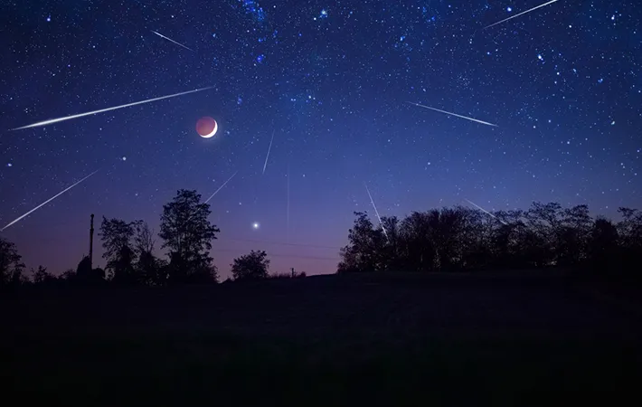 2025年のしし座流星群はいつが見頃？